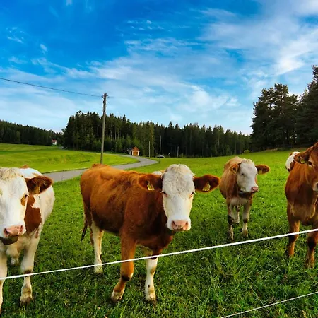 Lägenhet Valentin *