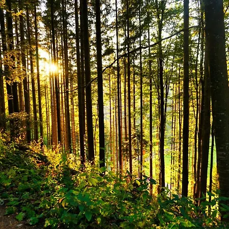 Valentin Triberg im Schwarzwald