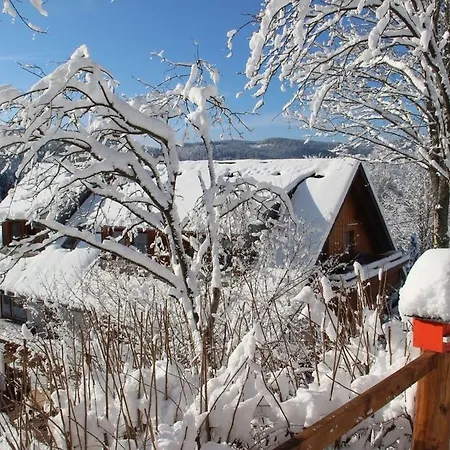 Valentin * Triberg im Schwarzwald