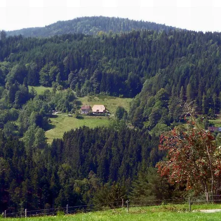 Valentin Triberg im Schwarzwald