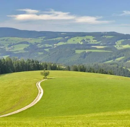 Valentin * Triberg im Schwarzwald