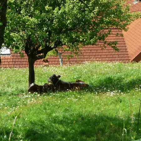 Lejlighed Valentin *